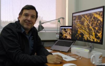 Instituto de Ecología y Biodiversidad evalía su primer año de dirección desde Concepción