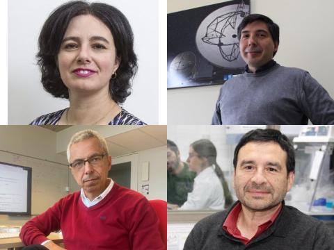 Proyecto nuevo (19)