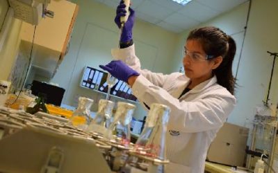 VRID dispone plataforma para someter proyectos a comités internos de ética