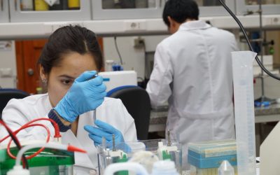 Ética en la investigación: UdeC actualiza su normativa y crea reglamento para el uso de animales no humanos