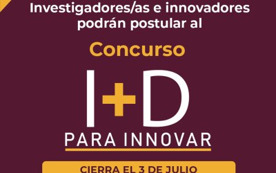 Expertos explicaron bases del concurso “I+D para Innovar 2024” a la comunidad UdeC