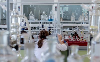 Centro CRHIAM abre llamado para beca postdoctoral 2024