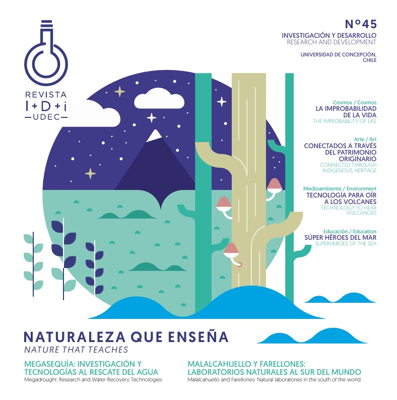 PORTADA 45