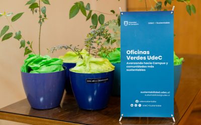VRID UDEC logra certificación Semilla en el programa Oficinas Verdes