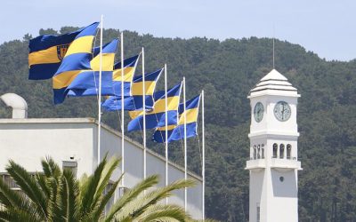 VRID adjudicó financiamiento para 7 estadías de investigación y colaboración