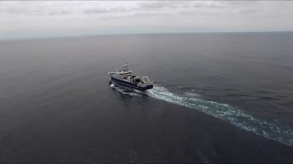 IMO-1024×576